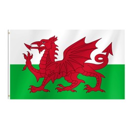 Welsh Flag 3x5 Ft Welsh Flag for Party Parades Sports Events Patriotic Holidays Outdoor Indoor Decorations