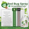 Bed Bug Spray for Getting Rid of Bed Bugs Permanently.