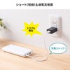 Sanwa Supply ACA-IP87BK USB Charger USB A x 1 Port