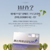메스틱 매스틱 유산균 브로콜리 양배추 유산균 락티플란티바실러스 플란타럼 사균체 V133