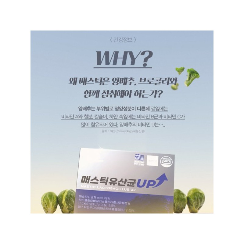 메스틱 매스틱 유산균 브로콜리 양배추 유산균 락티플란티바실러스 플란타럼 사균체 V133