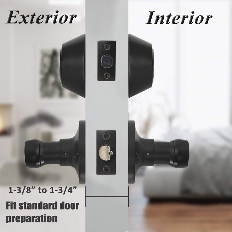 Probrico Entrance Lever Door Handle, Reversible for Right and Left