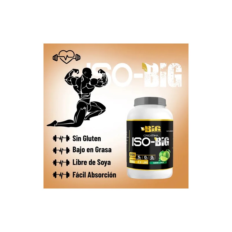 Creatina Monohidratada Big Protein 1kg 200servis Suplemento