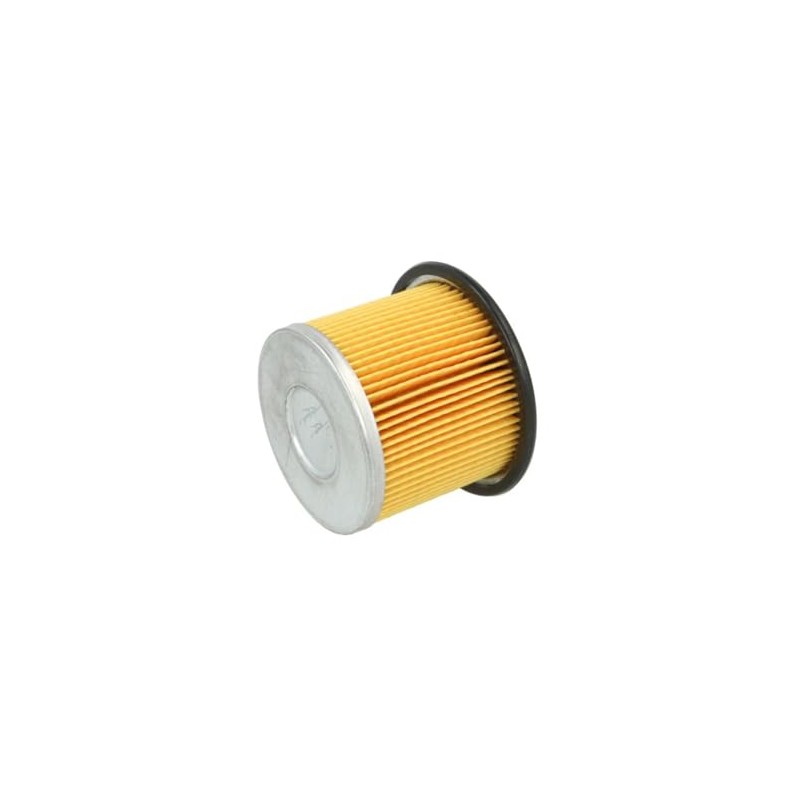 Filtron Fuel Filter PM858
