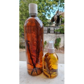 Kit Shampoo de Romero + Clavo + Canela + Miel 100% Artesanal Reforzado y Tonico de - Anti Caida Crecimiento Suavidad Shampo Champoo Fuerza y Crecimiento para Tu Cabello. Xshampoo Champoo. 2 Productos