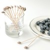 FSSTUD 100 Pieces Seashell Cocktail Picks Beach Party Chopsticks Tropical