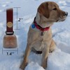 kcrygogo Leather Dog Collar Bell with Quick-Release Snap Buttons Training