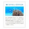 Yamada Apiary Bee UV Milk Born from Plants UV Care