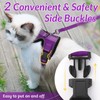 rabbitgoo Cat Harness and Leash for Walking, Escape Proof Soft