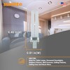 Sunlite PL13/SP65K Compact Fluorescent Single U-Shaped Twin Tube Light Bulb,