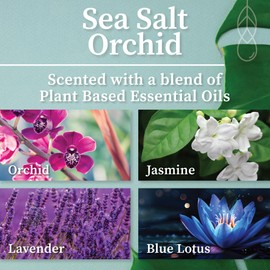 Hemlock Park Crackling Wood Wick Candle Handcrafted with Natural Coconut Wax (Standard 8 oz, Sea Salt Orchid)