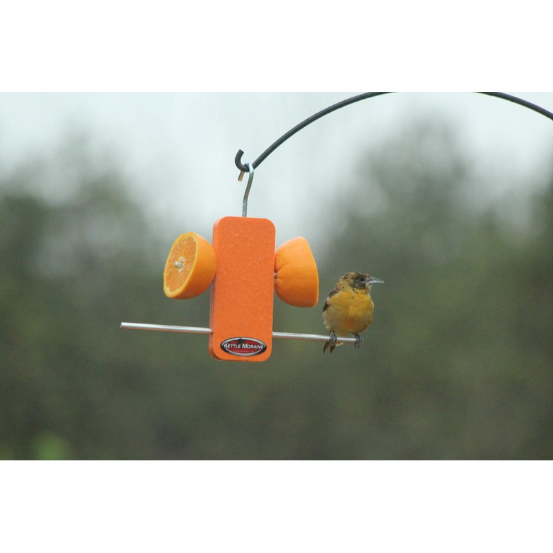 Kettle Moraine Recycled Single Oriole Orange Fruit Stick Feeder