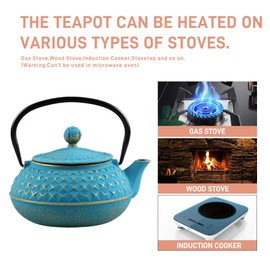 Cast Iron Teapot with Stainless Steel Infuser for Stovetop, Made in China, Safe Coated with Enameled Interior - 20.3 Oz/0.6 Liters