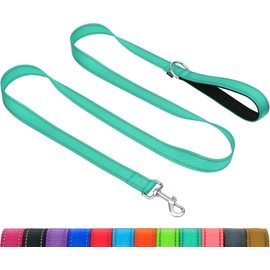Taglory Dog Leash for Small Dogs, Double-Sided Reflective Leash with Soft Neoprene Padded Handle, 3/4 inch by 4 ft, Fit Small Medium Large Breeds Under 20 lbs, Turquoise