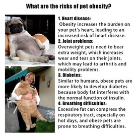 Elecpioneev Cat Puzzle Feeders for Indoor Cats, Interactive Enrichment Cat Feeder Ball, Cat Slow Feeder Toy(Yellow)