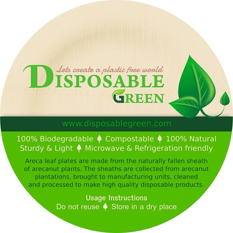 DISPOSABLE GREEN® | 25x25 CM Square Plates | 25 PCS