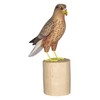 Brave Wings Hand Carved Wooden Eagle ~ While Tailed Eagle