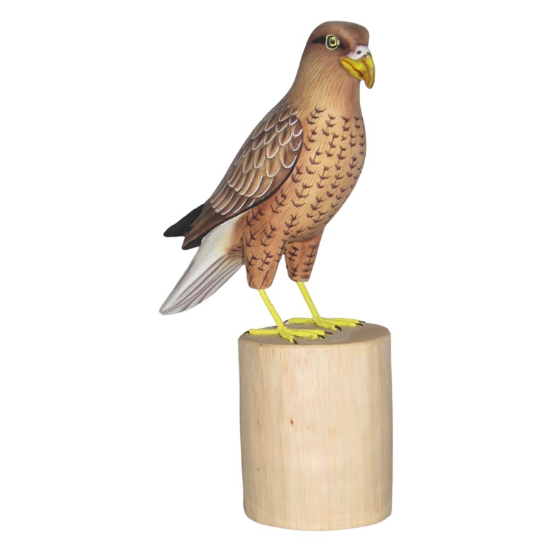 Brave Wings Hand Carved Wooden Eagle ~ While Tailed Eagle