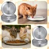 Domensi 12 Pieces Stainless Steel Vibrissae Friendly Bowl Shallow Cat