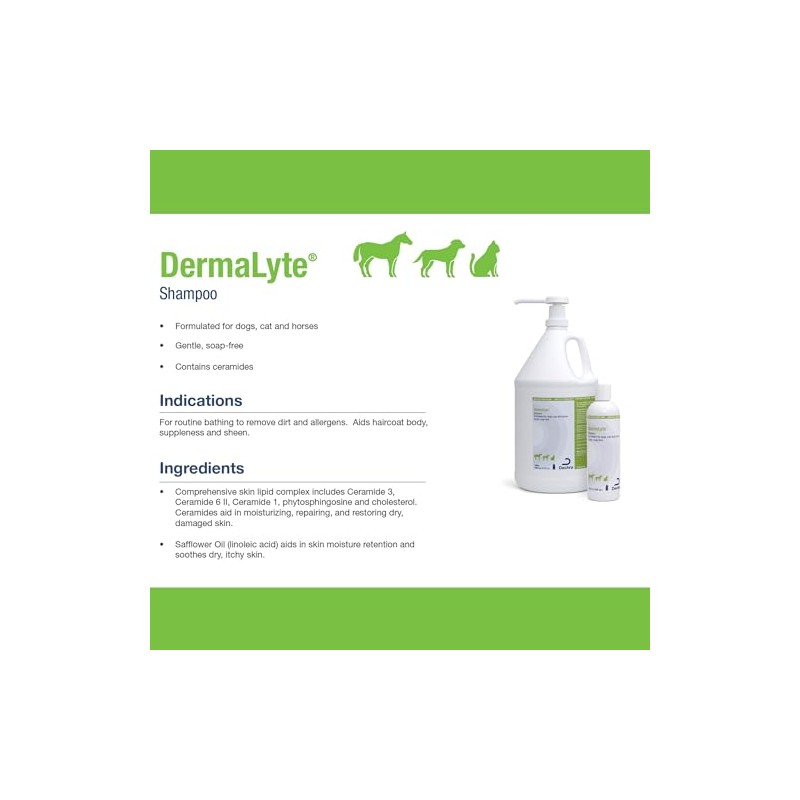 Dermalyte Shampoo, 12 Ounce
