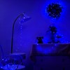 Ariceleo 2 Pack 16.4ft Battery Operated String Lights with Timer,