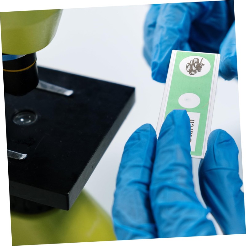 KOMBIUDA 12 pcs Prepared Microscope Slides for Educational Microbiology Specimens