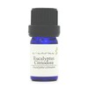 Eucalyptus Citriodora (Lemon Eucalyptus) 5ml e-aroma Essential Oil Essential Oil