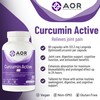 AOR AOR Curcumin Active 133.3mg, 60 Caps 30-Day Supply -