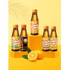 Guangdong Vita500 Collection 5 types 1 selection (original, calcium, zero, fresh, vitamin D) / 광동 비타500 모음 5종 1택(오리지널, 칼슘, 제로, fresh, 비타민D)