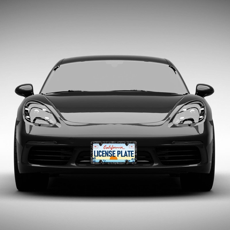 Spider Web License Plate Frames - 2 Pack Front Rear