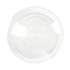 Esschert Design Germination Vase, Multiple Openings
