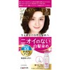Salon De Pro Gray Hair Dye, Unscented Hair Color, Fast