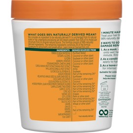 Garnier Fructis Style Damage Repairing Treat 1 Minute Hair Mask with Papaya Extract for Shine and Scalp Health, 13.5 Fl Oz (Pack of 1)