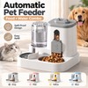 Automatic Cat Feeder and Water Dispenser for Daily Feeding –