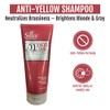 SILKY Technobasic Anti Yellow Shampoo - Hair Toner with Vitamin