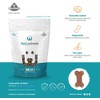 Premios para Perro con Omega 3