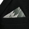 SHLAX&WING Men's Paisley Stripe Grey Silver Silk Pocket Square, gray