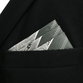 SHLAX&WING Men's Paisley Stripe Grey Silver Silk Pocket Square, gray
