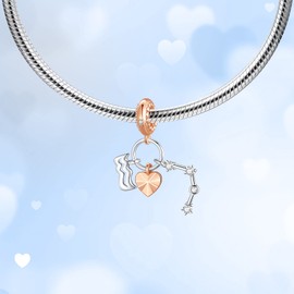 GOINEVA 12 Zodiac Sign Birthday Charms 925 Sterling Silver Charms Fits Women's Charm Bracelet & Necklace Valentine's Day Mother's Day Jewelry Gifts for Women（Aquarius）
