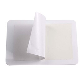 Beauty Leader 15pcs Nail Art Soft Stamping Protective Shell cabeza Stamper Rectangel Stamp Holder 10x15cm Size Plastic Backcover