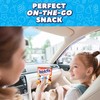 Welch's Fruit Snacks, Fruit Punch, Island Fruits & Berries 'N