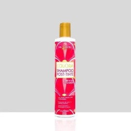 Nekane Shampoo Colora Post-tinte 300g                                                                                                                 