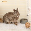 Niteangel 2 Pieces Rabbit Playpen Feet Mats for Cage, Comes