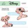 Sassy Woof Dog Adjustable Harness - Disney's Mulan - M,