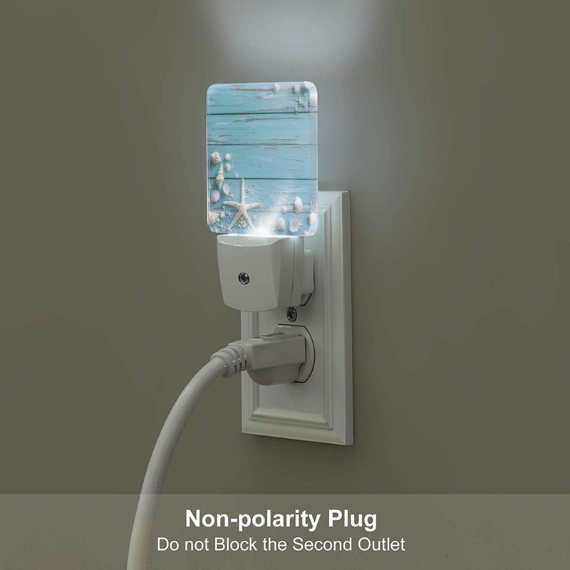 Seashell Night Light Plug-in LED Lamp Set of 2, Dusk