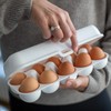 EGGS TO GO Egg Box
