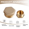 2 x brass plugs, 1 inch male thread, sealing plug