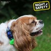 Ancol Pet Soft Blinker in Green - Water Resistant Reflective