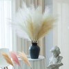 Large Artificial Reed 5-Piece Floral Interior Photography Prop Decorative Light Beige