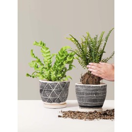 LE TAUCI Cement Planter, 5.5 Inch Succulent Pots, Boho Plant Pots with Drainage Holes & Saucers, Indoor Plants, Bonsai Pots, Unglazed, Set of 2